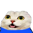 peepo