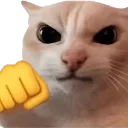 fight