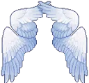 angelwings