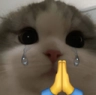 :Sl_Catto_pray: