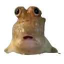 glep