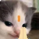 namaste