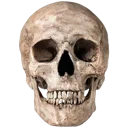 :skull2: