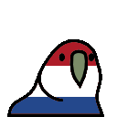 :DutchParrot: