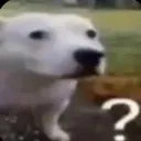 confuseddog