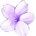 PurpleFlower