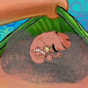 Penis