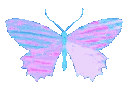 egp_butterfly