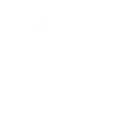 2_