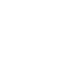 3_