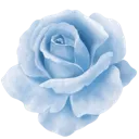 emoji_16