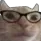 catglasses Discord emoji