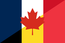 iconLanguageFR