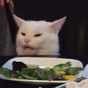 :cat_ew: