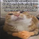 Smart_cat