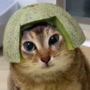 Catermelon