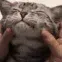 SCsquishy