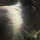 SNIFFFFFF