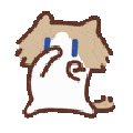 3516scubbacat
