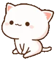 01_white_ct