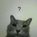confused2