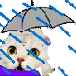 feelsrainman