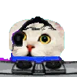 peepodj