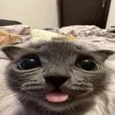 emoji_72