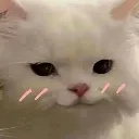 __