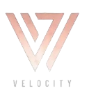 Velocity Discord emoji