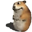 Chomikuj