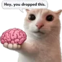 nobrain