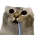 Drool Discord emoji