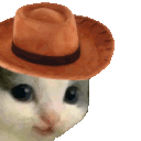 cathat animated Discord emote - ITS FALL BITCHES