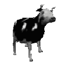 Dancing_cow_animated