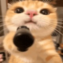 tsu_gun