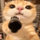 :tsu_gun: