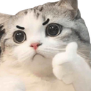 tsu_okay
