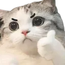 <:tsu_catthumbsup:1532007403279618049>