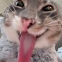 :emoji_22: