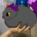 aziel_loaf