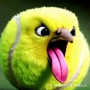 :birb2: