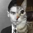 Kafcat