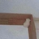 moodykitty