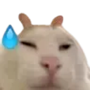 vl