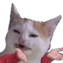 meo