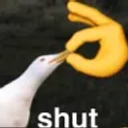 im_mom_vao