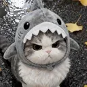 tsu_miso_angy
