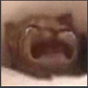 tsu_catcry