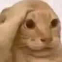 <:Shit:1532377897904377886>